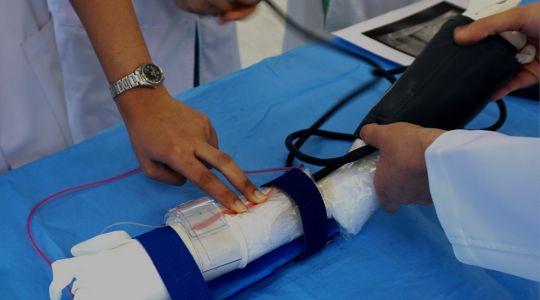 Simulation Based Learning